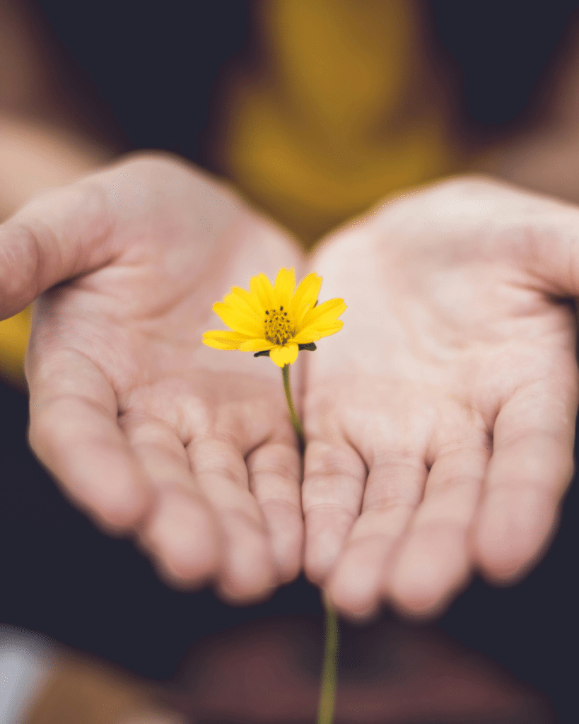 Illustration identité et raison d'être entreprise - accompagnement illio