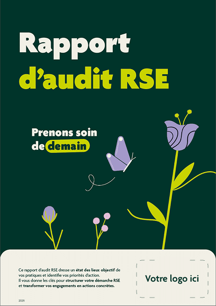 Template rapport diagnostic RSE pour PME - illio