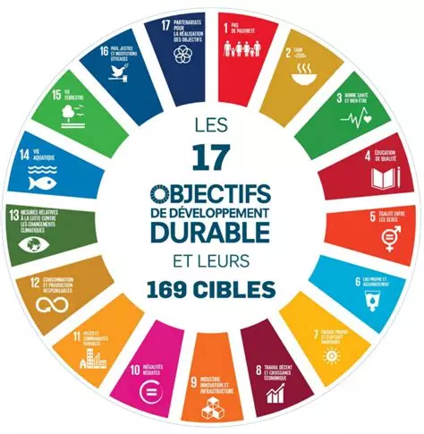 Objectifs de Développement Durable ONU - accompagnement consultant RSE illio