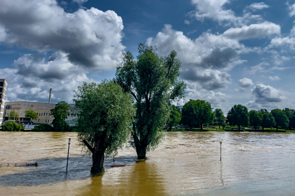 Crue d'un fleuve en zone urbaine, arbres et lampadaires sous l'eau devant des bâtiments d'activité